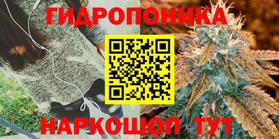 крисы Бугуруслан