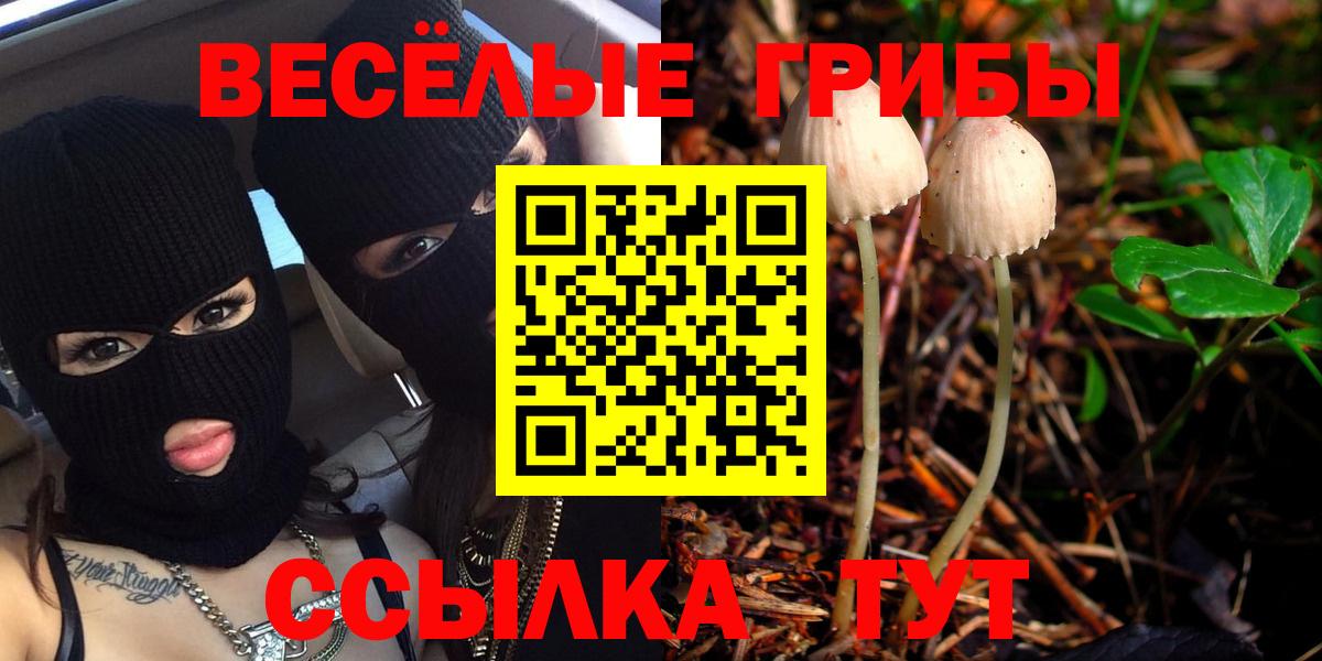 Псилоцибиновые грибы прущие грибы  Вход с VPN  Орск  наркотики  Псилоцибиновые грибы MAGIC MUSHROOMS 